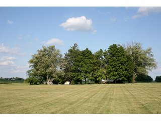 Spacious Front Yard, Tract 3 - REAL ESTATE & PERSONAL PROPERTY AUCTION, 69+/- Acres offered in 3 Tracts