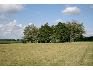 Spacious Front Yard, Tract 3 - REAL ESTATE & PERSONAL PROPERTY AUCTION, 69+/- Acres offered in 3 Tracts