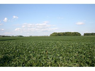 Level Tillable Land, Tract 1 - REAL ESTATE & PERSONAL PROPERTY AUCTION, 69+/- Acres offered in 3 Tracts