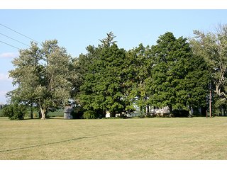 Tract 3 - REAL ESTATE & PERSONAL PROPERTY AUCTION, 69+/- Acres offered in 3 Tracts
