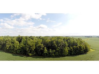 Property photo 5 - REAL ESTATE & PERSONAL PROPERTY AUCTION, 69+/- Acres offered in 3 Tracts