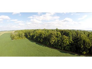 Property photo 2 - REAL ESTATE & PERSONAL PROPERTY AUCTION, 69+/- Acres offered in 3 Tracts