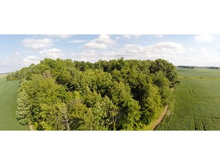 Property photo 6 - REAL ESTATE & PERSONAL PROPERTY AUCTION, 69+/- Acres offered in 3 Tracts