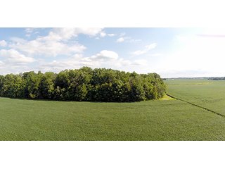 Property photo 4 - REAL ESTATE & PERSONAL PROPERTY AUCTION, 69+/- Acres offered in 3 Tracts