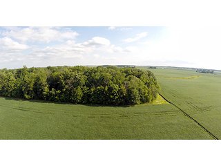 Property photo 3 - REAL ESTATE & PERSONAL PROPERTY AUCTION, 69+/- Acres offered in 3 Tracts