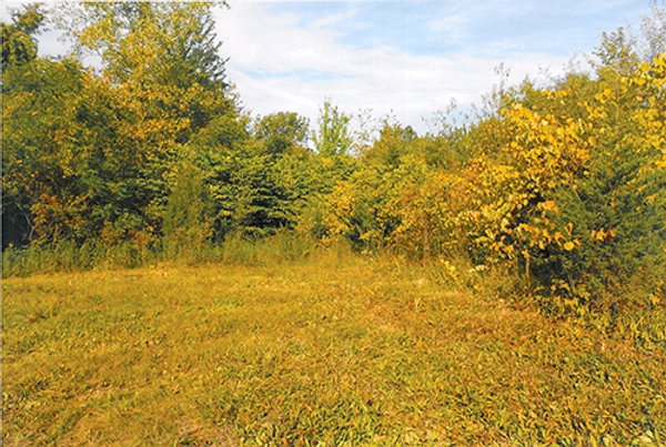 REAL ESTATE AUCTION, 5.1 Acre Building Site, Sealed Bid Auction