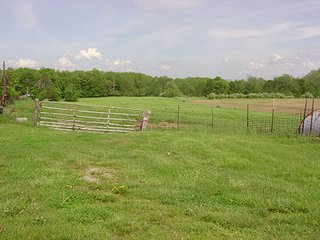 Property photo 7 - LAND AUCTION, 160+/- Acres offered in 5 Tracts