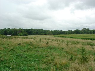 Property photo 2 - LAND AUCTION, 160+/- Acres offered in 5 Tracts