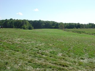 Property photo 5 - LAND AUCTION, 160+/- Acres offered in 5 Tracts