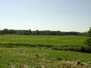 Property photo 3 - LAND AUCTION, 160+/- Acres offered in 5 Tracts