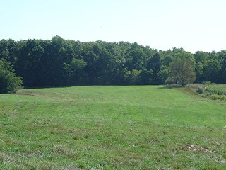 Property photo 4 - LAND AUCTION, 160+/- Acres offered in 5 Tracts