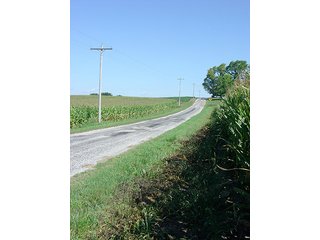 Property photo 18 - LAND AUCTION, 160+/- Acres offered in 5 Tracts