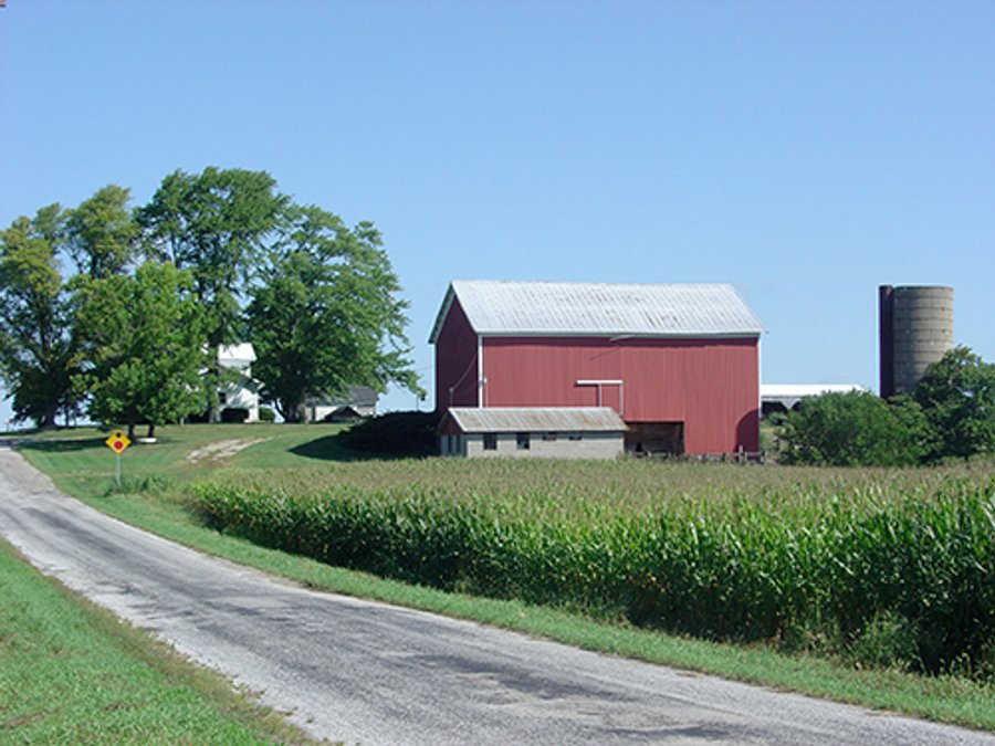 LAND AUCTION, 160+/- Acres offered in 5 Tracts