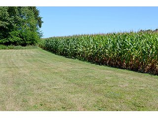 Property photo 8 - REAL ESTATE AUCTION, 141.5+/- Acres offered in 5 Tracts