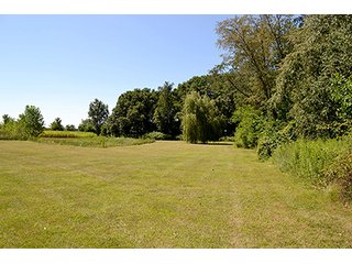 Property photo 9 - REAL ESTATE AUCTION, 141.5+/- Acres offered in 5 Tracts