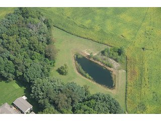 Property photo 3 - REAL ESTATE AUCTION, 141.5+/- Acres offered in 5 Tracts