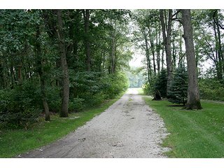 Property photo 12 - REAL ESTATE AUCTION, 141.5+/- Acres offered in 5 Tracts