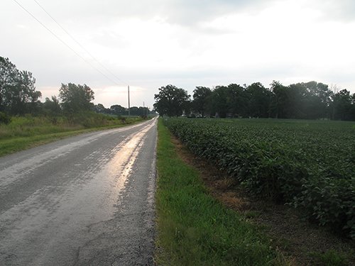 Property photo 20 - LAND AUCTION, 124.929+/- Acres offered in 2 Tracts