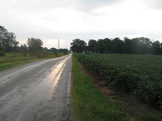 Property photo 20 - LAND AUCTION, 124.929+/- Acres offered in 2 Tracts