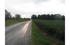 Property photo 20 - LAND AUCTION, 124.929+/- Acres offered in 2 Tracts