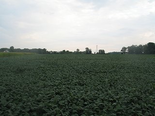 Property photo 19 - LAND AUCTION, 124.929+/- Acres offered in 2 Tracts