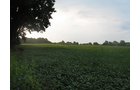 Property photo 22 - LAND AUCTION, 124.929+/- Acres offered in 2 Tracts