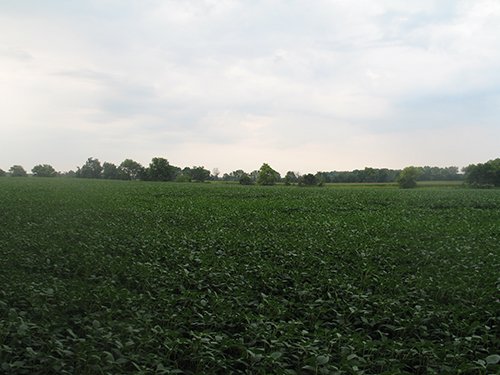 Property photo 13 - LAND AUCTION, 124.929+/- Acres offered in 2 Tracts