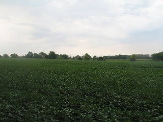 Property photo 13 - LAND AUCTION, 124.929+/- Acres offered in 2 Tracts