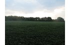 Property photo 14 - LAND AUCTION, 124.929+/- Acres offered in 2 Tracts
