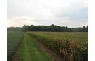 Property photo 7 - LAND AUCTION, 124.929+/- Acres offered in 2 Tracts