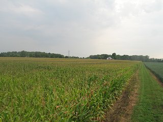 Property photo 12 - LAND AUCTION, 124.929+/- Acres offered in 2 Tracts