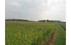 Property photo 12 - LAND AUCTION, 124.929+/- Acres offered in 2 Tracts