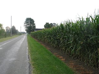 Property photo 2 - LAND AUCTION, 124.929+/- Acres offered in 2 Tracts