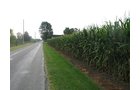 Property photo 2 - LAND AUCTION, 124.929+/- Acres offered in 2 Tracts