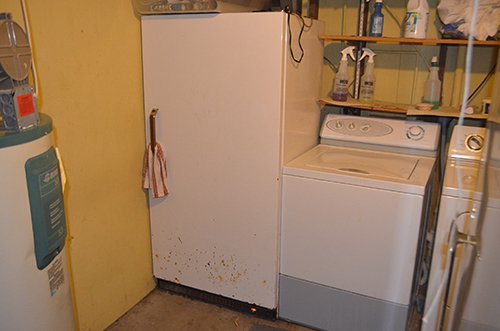 Property photo 86 - PERSONAL PROPERTY AUCTION, Speedboat, Lawn & Garden, Tools, Much More!