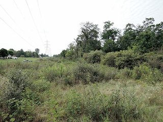 Property photo 14 - LAND AUCTION, 348+/- Acres offered in 9 Tracts, Farm 1-163+/- Acres, Farm 2-185+/- Acres