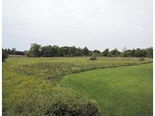 Property photo 19 - LAND AUCTION, 348+/- Acres offered in 9 Tracts, Farm 1-163+/- Acres, Farm 2-185+/- Acres