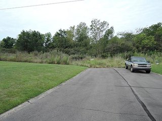 Property photo 8 - LAND AUCTION, 348+/- Acres offered in 9 Tracts, Farm 1-163+/- Acres, Farm 2-185+/- Acres