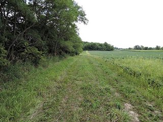 Tract 6 on Farm 2 - LAND AUCTION, 348+/- Acres offered in 9 Tracts, Farm 1-163+/- Acres, Farm 2-185+/- Acres