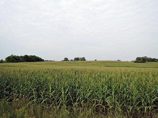 Tract 6 on Farm 2 - LAND AUCTION, 348+/- Acres offered in 9 Tracts, Farm 1-163+/- Acres, Farm 2-185+/- Acres