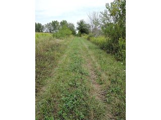 Property photo 4 - LAND AUCTION, 348+/- Acres offered in 9 Tracts, Farm 1-163+/- Acres, Farm 2-185+/- Acres