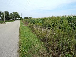 Property photo 9 - LAND AUCTION, 348+/- Acres offered in 9 Tracts, Farm 1-163+/- Acres, Farm 2-185+/- Acres