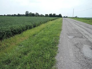 Tract 1 on Farm 1 - LAND AUCTION, 348+/- Acres offered in 9 Tracts, Farm 1-163+/- Acres, Farm 2-185+/- Acres
