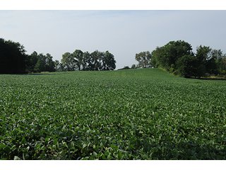 Property photo 26 - MICHIGAN LAND AUCTION, 1119 Acres offered in 17 Tracts