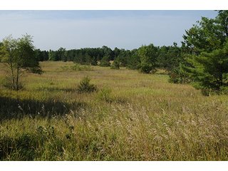 Property photo 32 - MICHIGAN LAND AUCTION, 1119 Acres offered in 17 Tracts