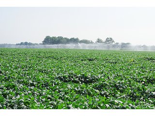 Property photo 20 - MICHIGAN LAND AUCTION, 1119 Acres offered in 17 Tracts