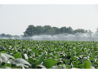 Property photo 28 - MICHIGAN LAND AUCTION, 1119 Acres offered in 17 Tracts