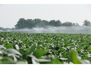 Property photo 12 - MICHIGAN LAND AUCTION, 1119 Acres offered in 17 Tracts