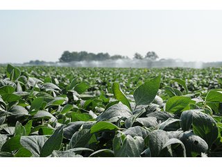 Property photo 15 - MICHIGAN LAND AUCTION, 1119 Acres offered in 17 Tracts
