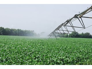 Property photo 36 - MICHIGAN LAND AUCTION, 1119 Acres offered in 17 Tracts